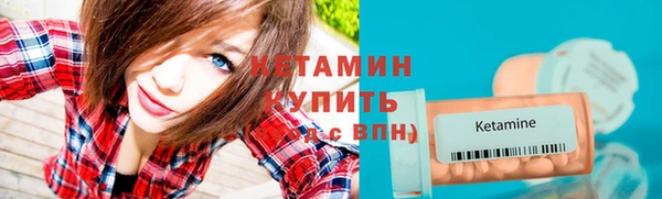трава Дмитриев