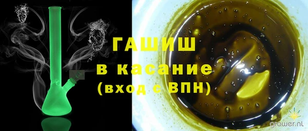 крисы Ельня