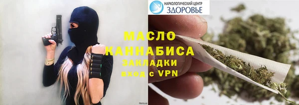 крисы Ельня