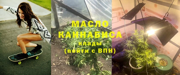 крисы Ельня