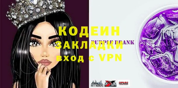 крисы Ельня