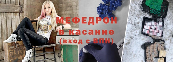 индика Дмитров