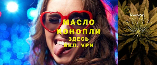 индика Дмитров