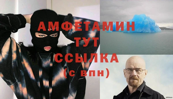 крисы Ельня